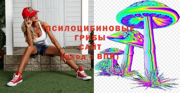 гидра Арсеньев