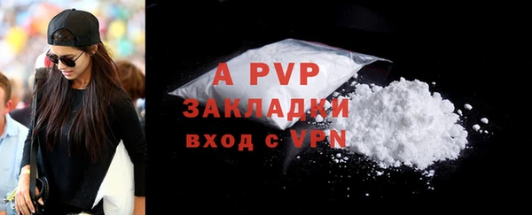 гидра Арсеньев