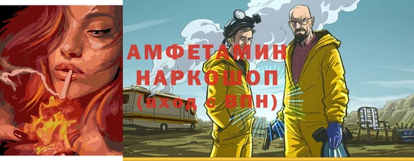 гидра Арсеньев